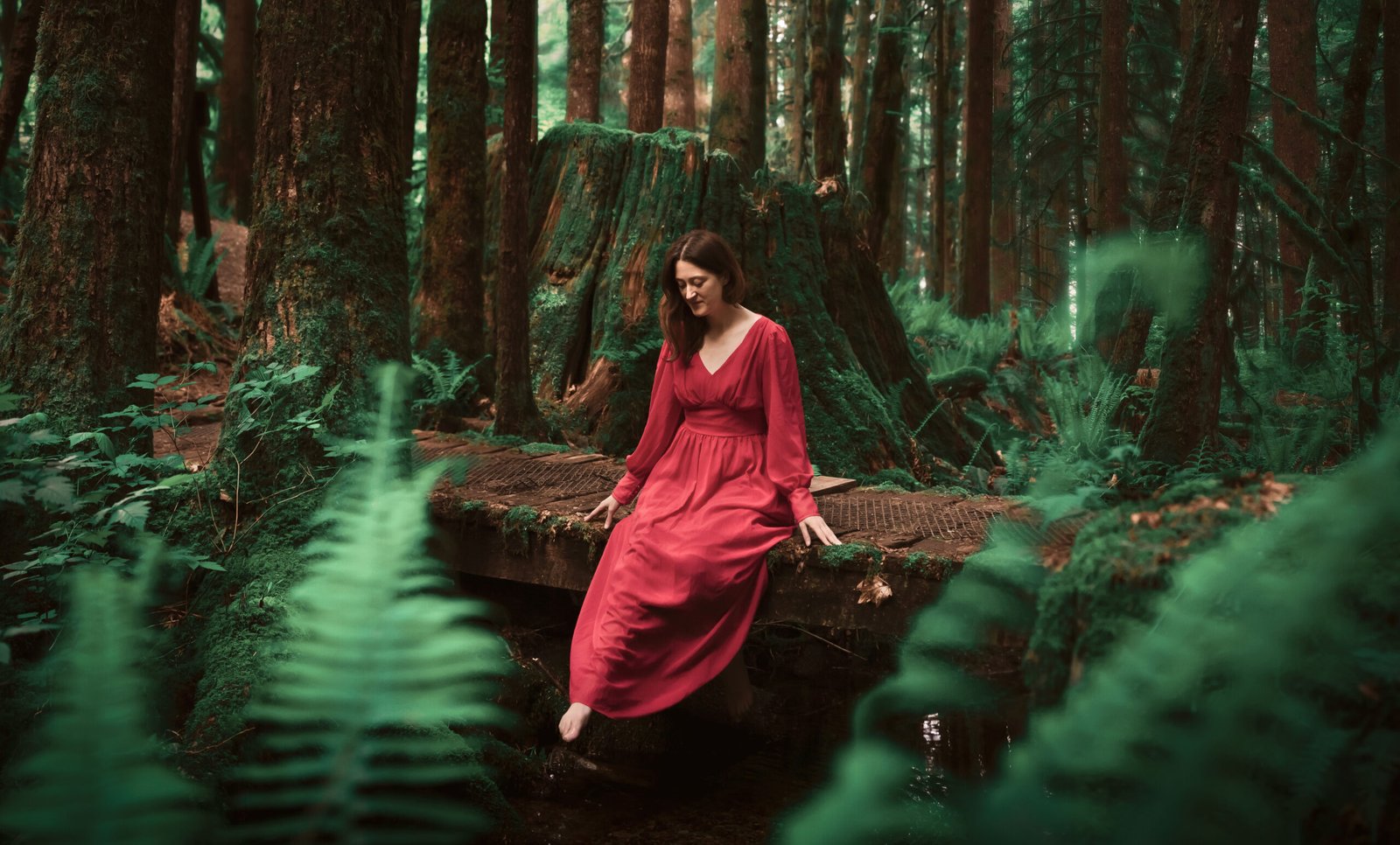 Maple-ridge-photography-service-outdoor-portraits-golden-ears