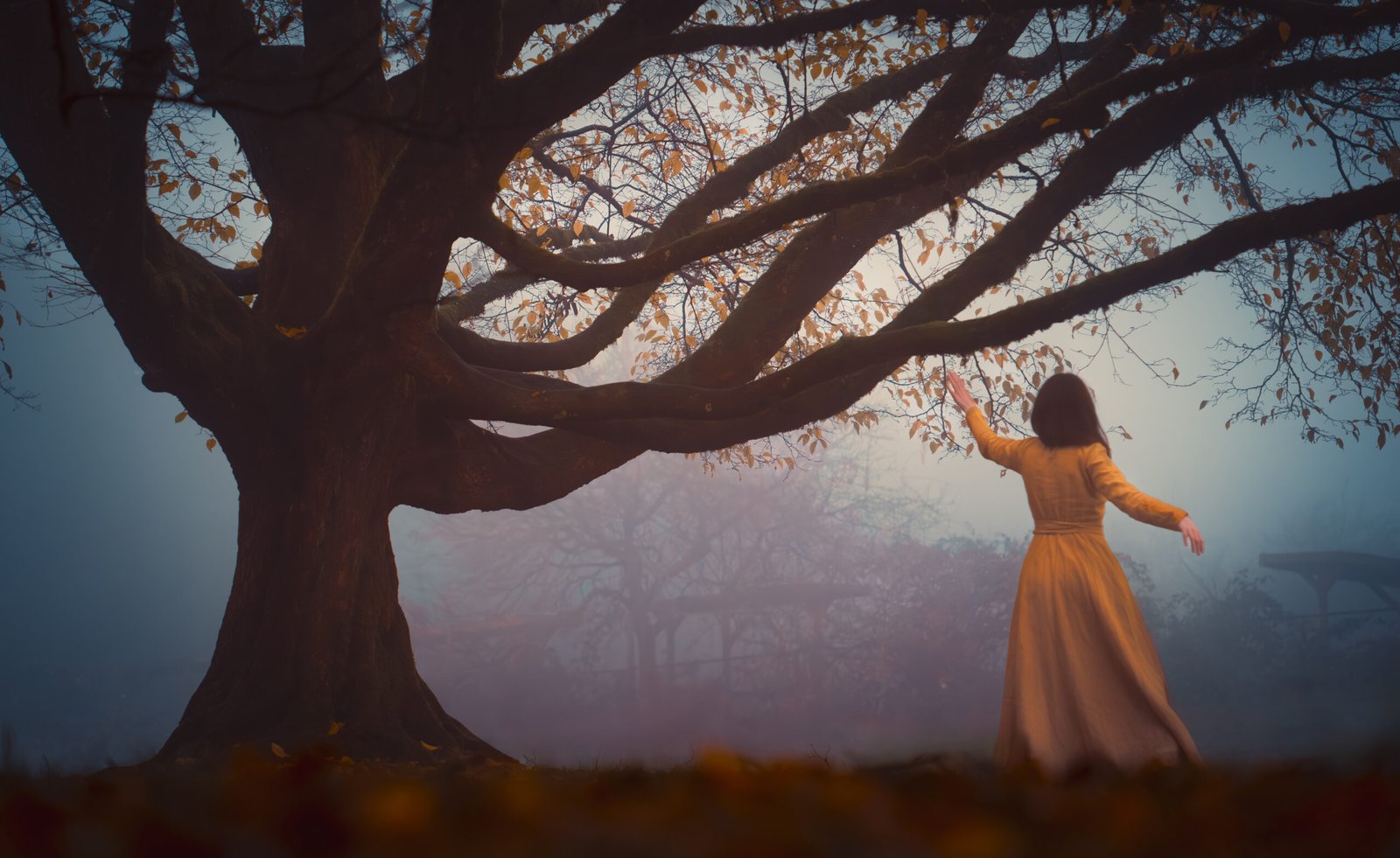 woman-posing-near-a-big-tree-wearing-a-yellow-dress-in-a-foggy-day-in-vancouver