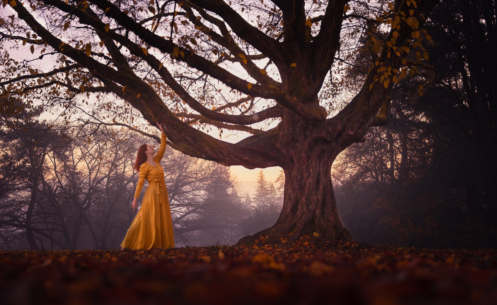 woman-with-yello-dress-standing-next-to-abig-tree-in-a-foggy-day-in-Vancouver