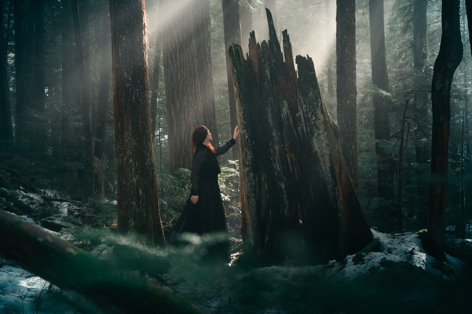 Outdoor-portrait-in-the-forest-with-sunray-woamn-standing-next-to-a-tree-at-Brandywine-falls-Whistler