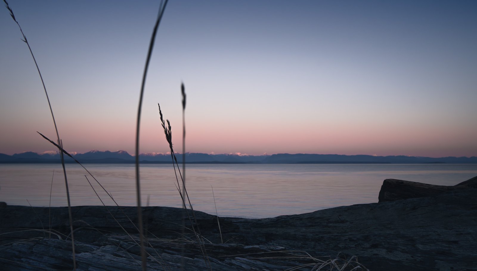 landscape picture elopement location oceanfront in Campbell River shoreline location at sunset