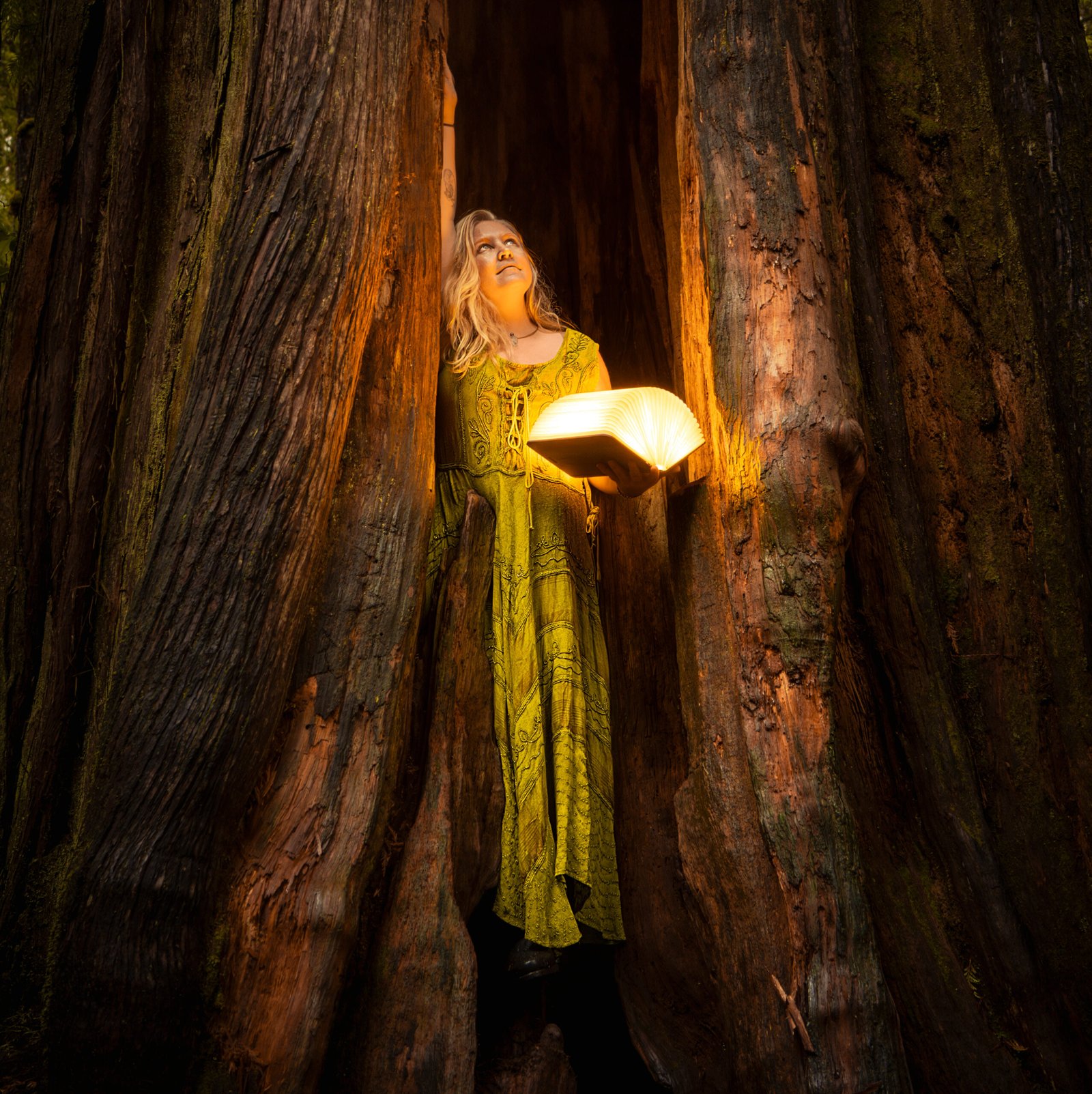 beautiful-blonde-model-standing-in-a-big-tree-holding-a-glowing-book-and-having-professional-photoshoot-in-Tofino