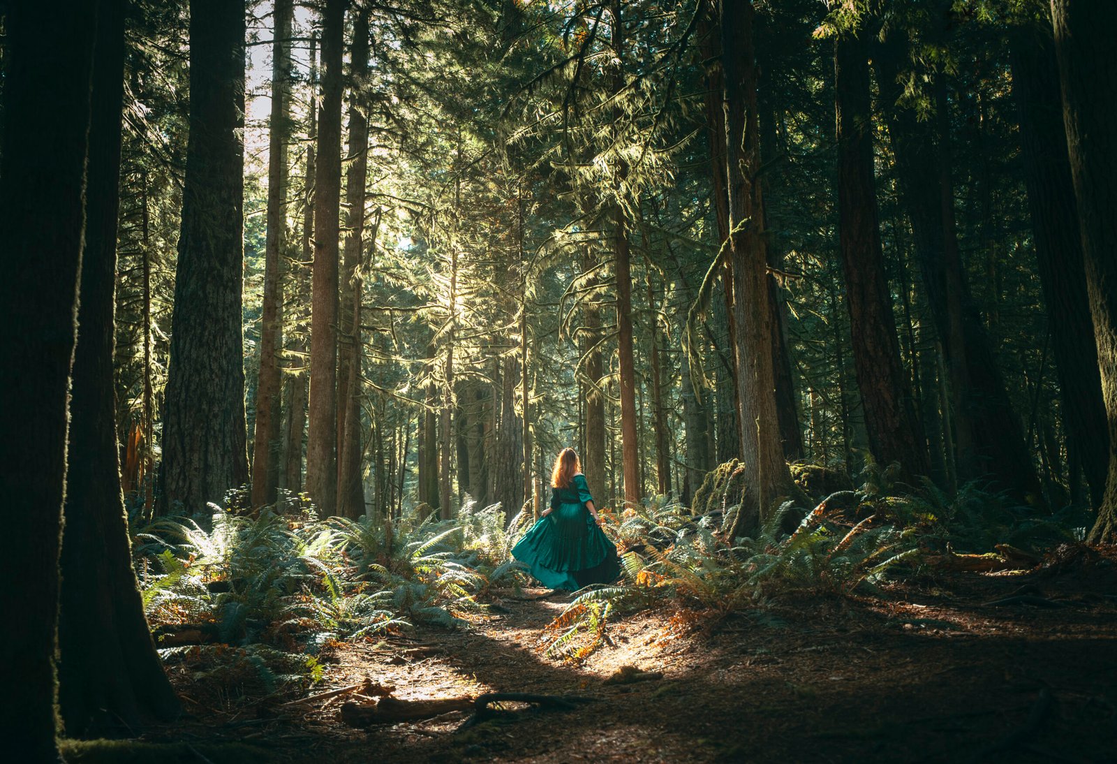 what to wear in the forest for professional outdoor photoshoot